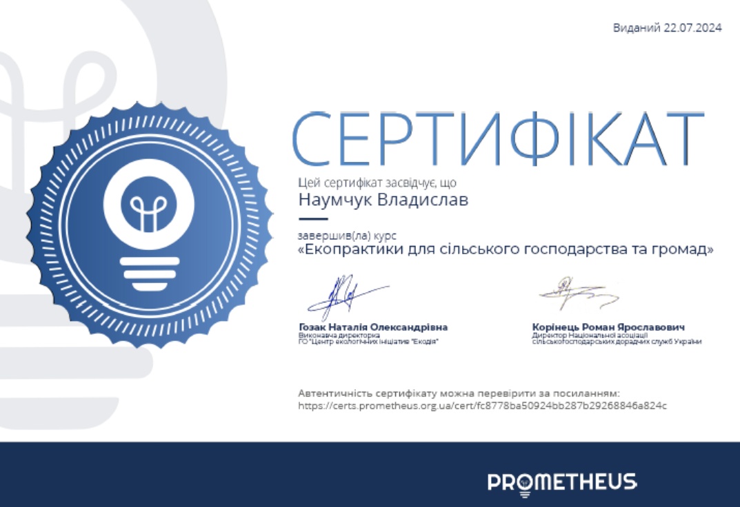 Неформальна освіта успішних студентів