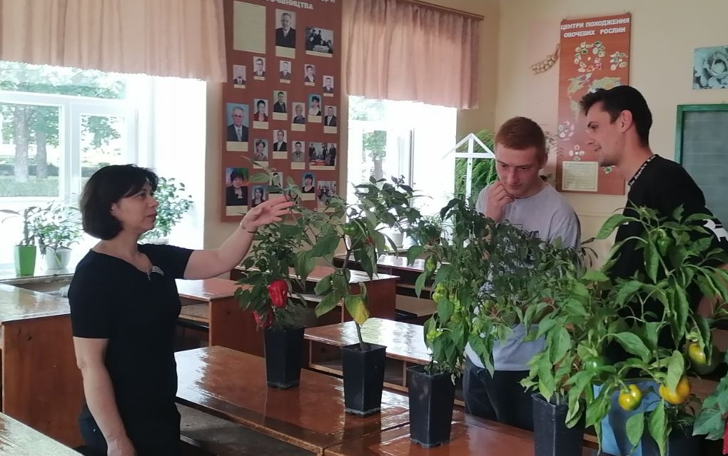 Студентський гурток кафедри овочівництва продовжує свою роботу