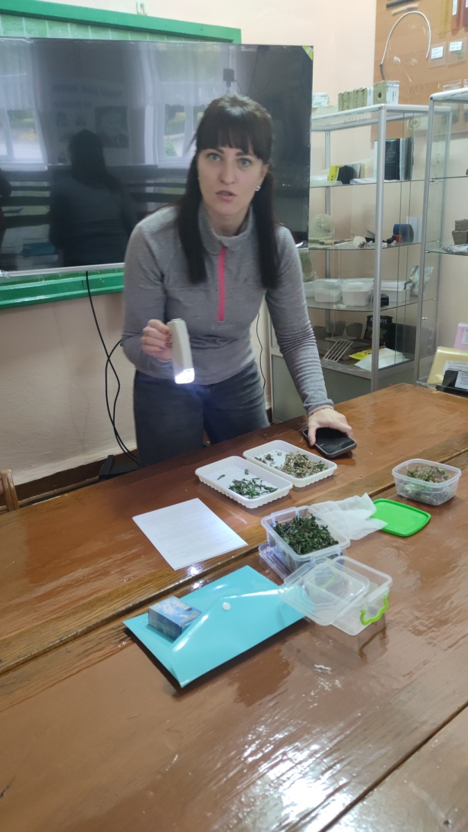 ОЦІНКА ЯКОСТІ ЛІКАРСЬКОЇ РОСЛИННОЇ СИРОВИНИ НА ГУРТКУ КАФЕДРИ ОВОЧІВНИЦТВА