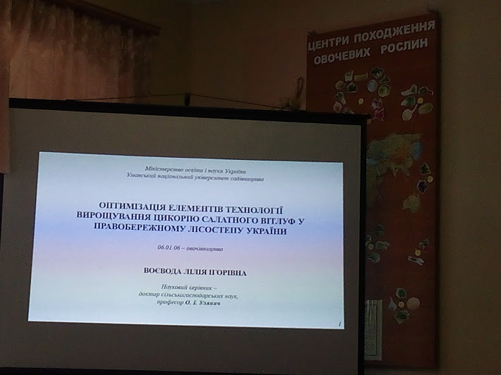 Попередній розгляд дисертаційної роботи