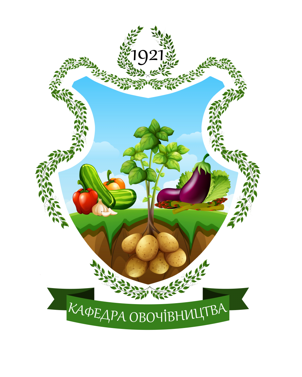 Практичні заняття - запорука формування вмінь та навичок у студентів